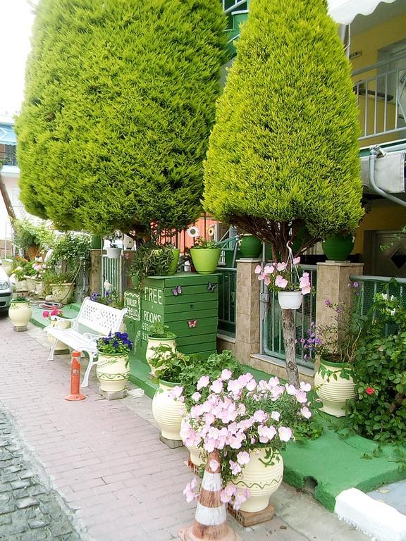 House Stella Tasos Apartment Sarti Exterior photo